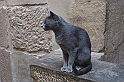 16 MAK_6453